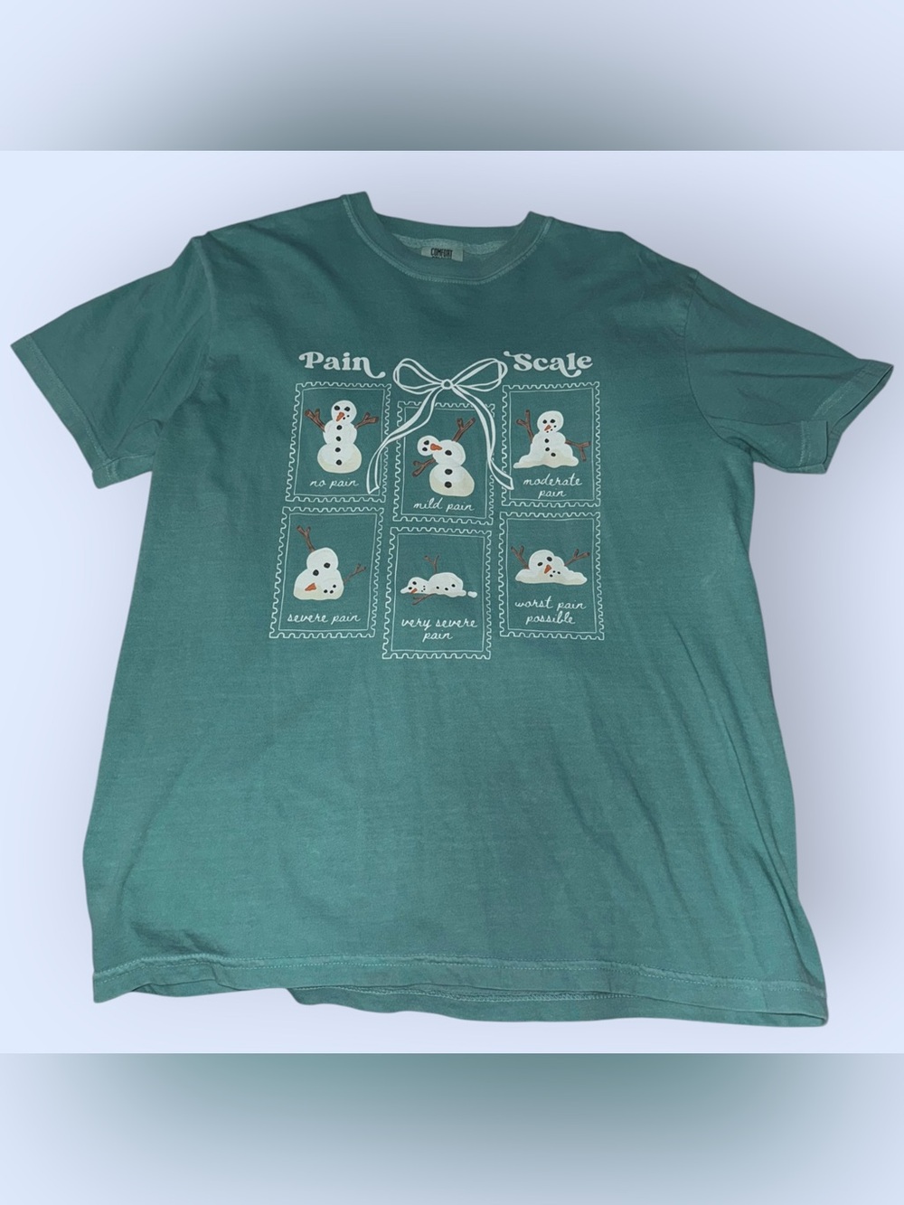 Comfort Colors Green 'Pain Scale' Snowman Graphic Tee